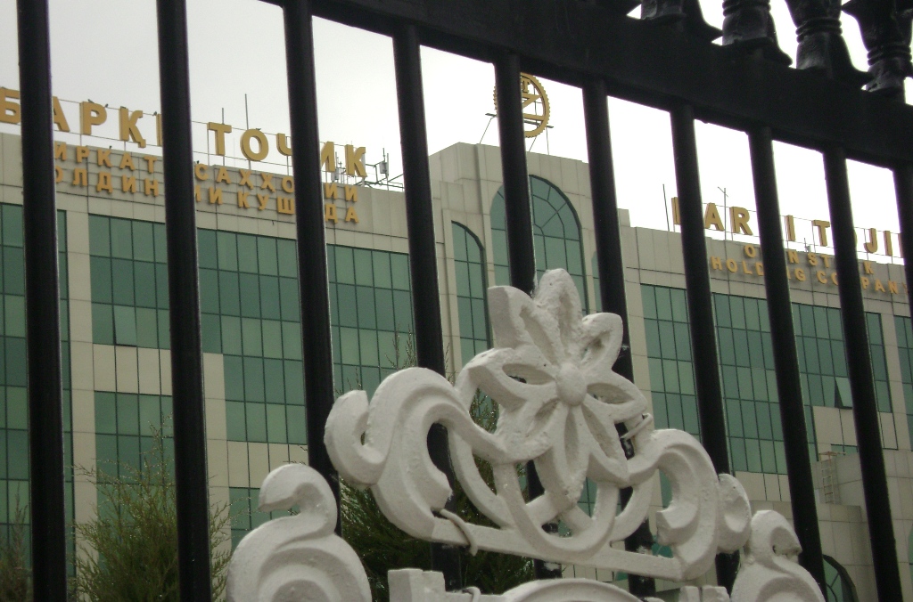 Таджикистану помогут реструктуризировать «Барки точик»