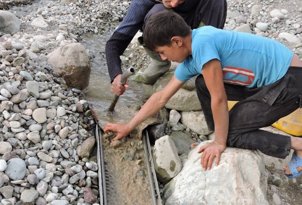 Золотая лихорадка придет в Таджикистан: частным лицам разрешат добывать золото уже в этом году