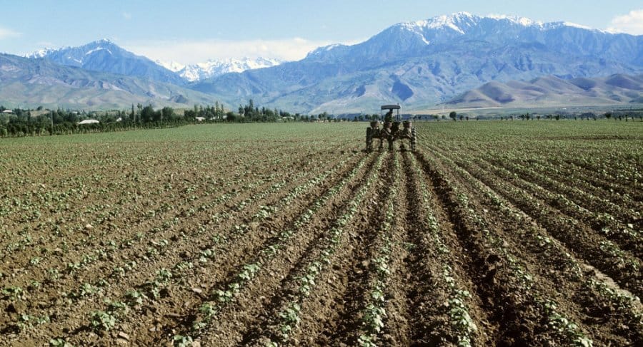 Эксперт IFC: Агрокредитование в Таджикистане имеет большой потенциал для роста