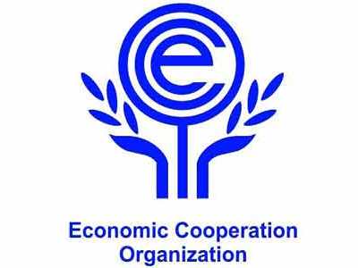 Таджикистан и ОЭС обсудили экономическое сотрудничество