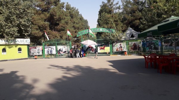 Зоопарк, или парк смерти? Активисты Душанбе бьют тревогу в связи с ситуацией в столичном зоопарке