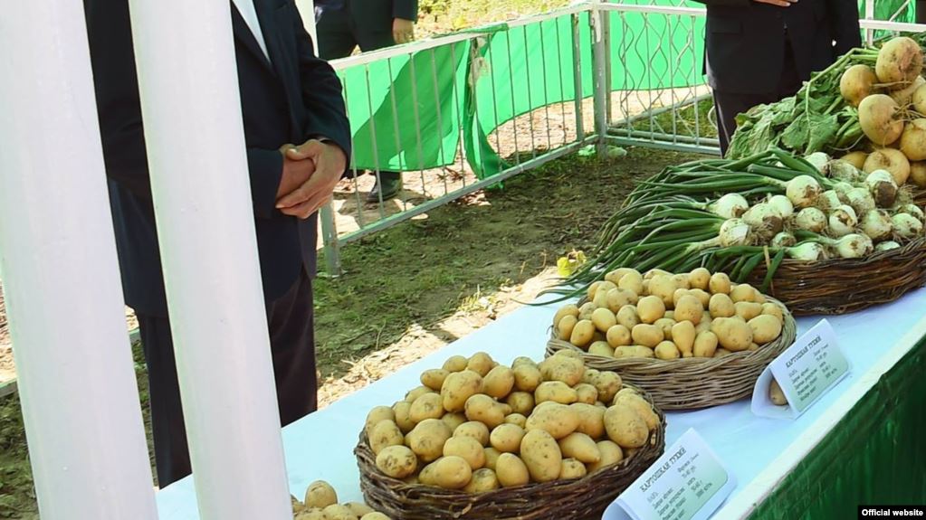 Минфин Таджикистана через суд взыскивает 800 тыс сомони с подсобного хозяйства