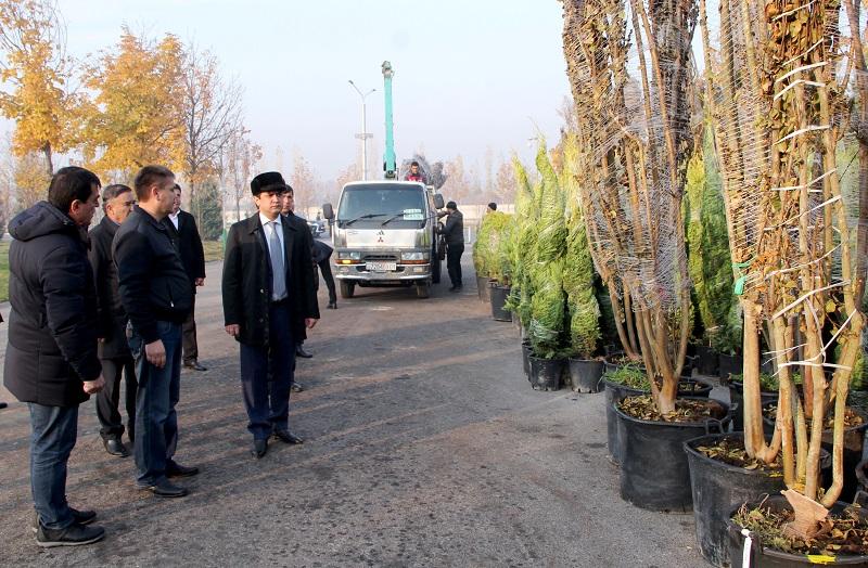 Мэрию Душанбе освободили от выплат НДС и таможенных пошлин за ввоз саженцев и цветов