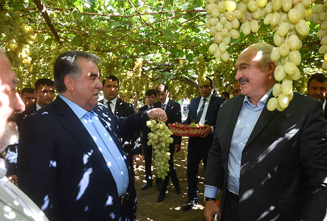 Лукашенко написал Эмомали Рахмону и пообещал скоро прилететь в Душанбе