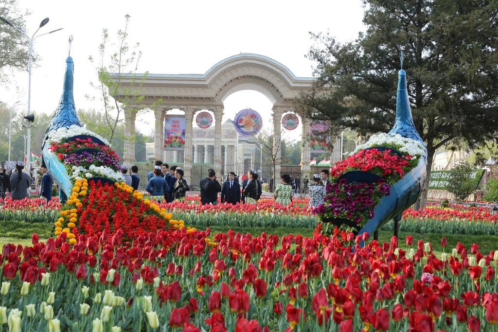 Что нужно сделать, чтобы Душанбе был зеленым и здоровым городом?