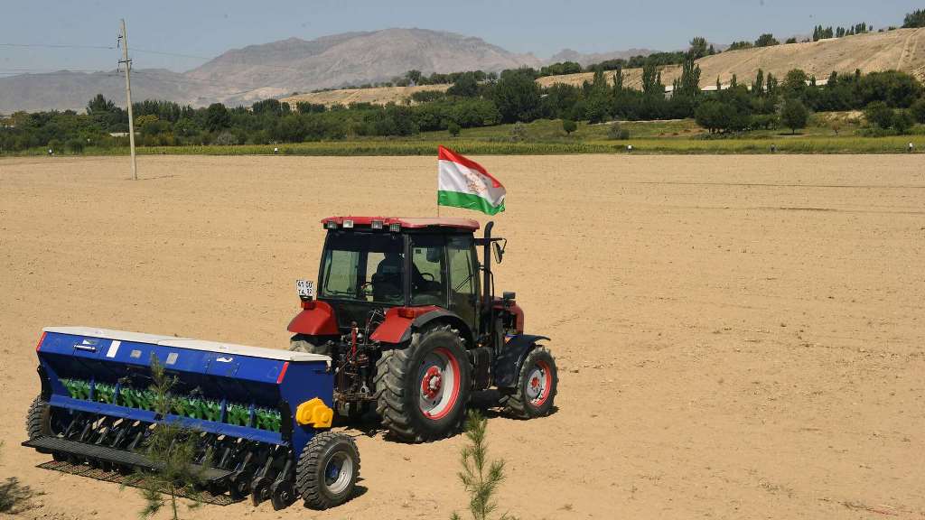 Чего добился Таджикистан в ходе реформ сельского хозяйства?