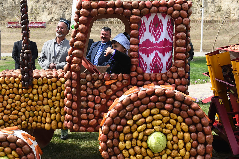 В Таджикистане собрали рекордный урожай картофеля