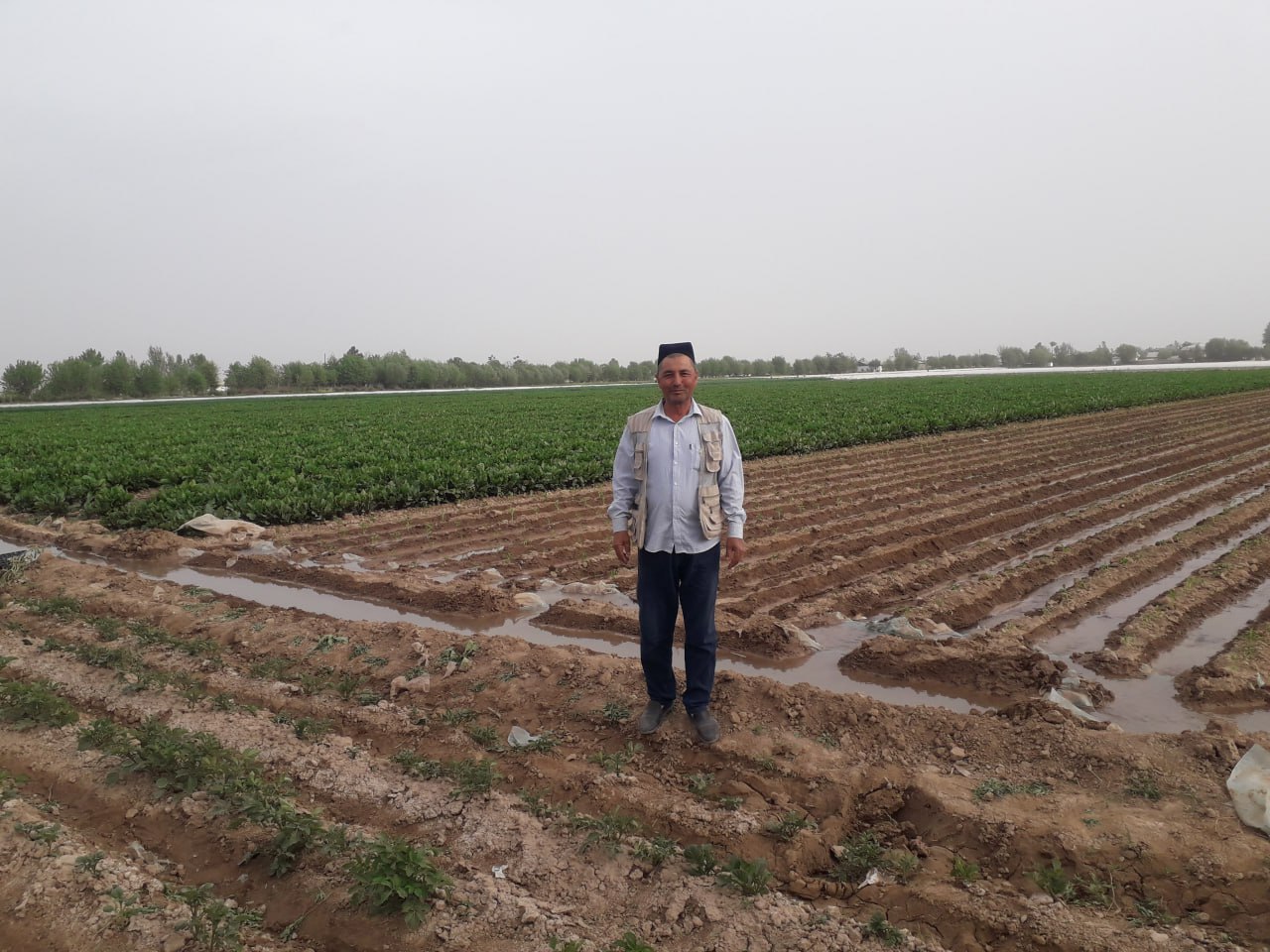 В Таджикистане растет число фермеров: где их больше всего?