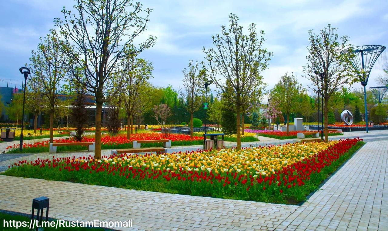 В Душанбе награждены победители республиканского конкурса «Сайри гули лола»