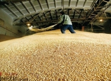 В Душанбе построили самое крупное в Таджикистане хранилище для пшеницы