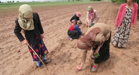 В Душанбе наградят победителей конкурса «Женщина – хозяйка земли»